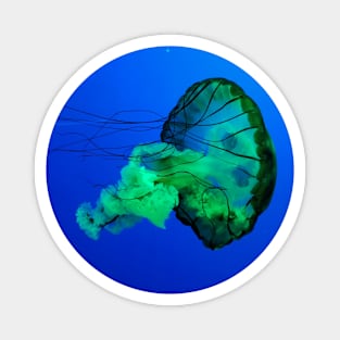 Green Jellyfish Magnet